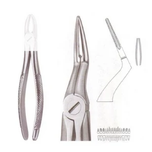 Extracting Forceps